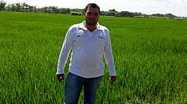 Timeline: historia de la Fitopatología