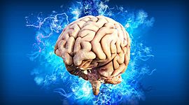 Timeline: Eventos del cerebro