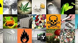 Timeline: Hechos fundamentales en el Origen y la Historia de la Toxicología_Omaira Ramirez