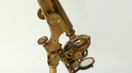 Timeline: The Microscope