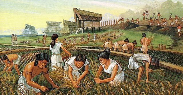 HACE 7000 AÑOS: PERIODO NEOLITICO