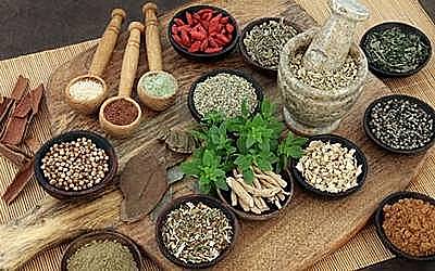 Medicina Tradicional