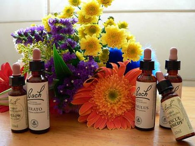Tratamiento Flores de Bach.