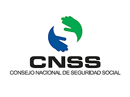 Consejo nacional para la seguridad industrial