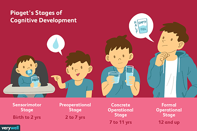 Defined 4 stages of intellectual development