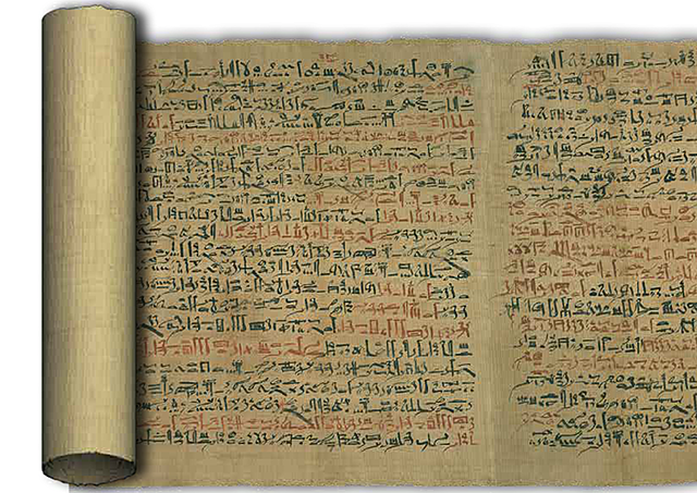 El rollo o volumen y el códex o códice.