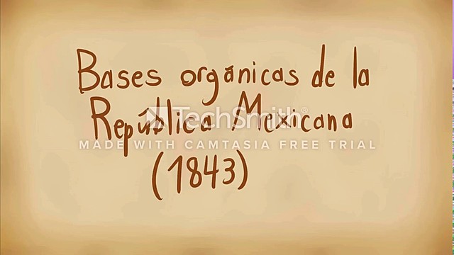 BASES ORGÁNICAS