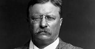 Reelection Of Teddy Roosevelt