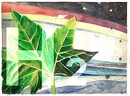 Descubrimiento del primer elemento