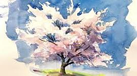 Timeline: Personal Timeline