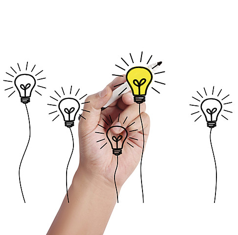 PRINCIPIOS DE COORDINADOR