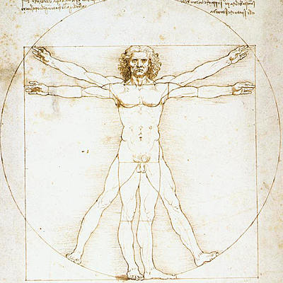 Timeline: La idea del Hombre...