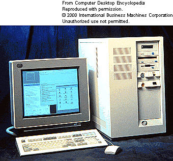 IBM RS