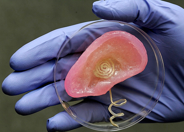 Шаг в будущее