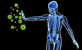 Primera mitad del siglo XX