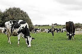 Nuevos Proyectos 2018