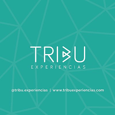 Timeline: TRIBU Experiencias