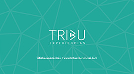 Timeline: TRIBU Experiencias