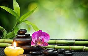 ¿QUE SE ENTIENDE POR TERAPIAS NATURALES?