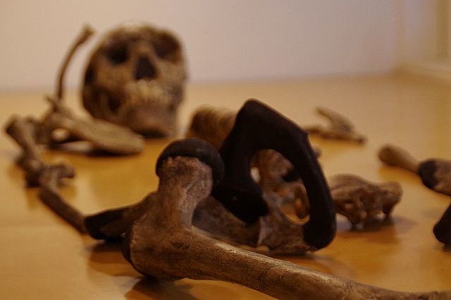 Proceso de inmigracion