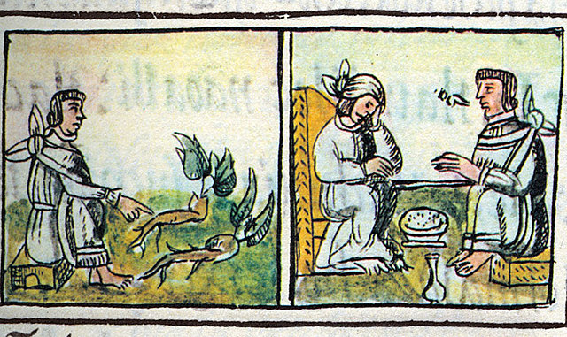 Renacimiento de la Herbolaria