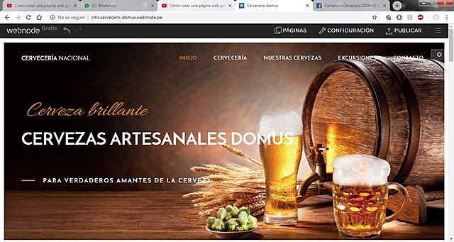 Lanzamiento del producto al mercado