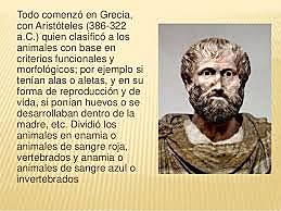 Aristóteles (384 - 322 A.C)