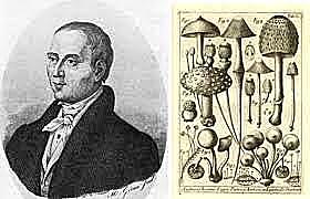 Micheli (1729) describe hongos de los géneros Aspergillus, Botritis y Puccinia