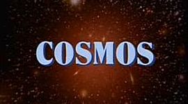 Timeline: El espinazo de la noche