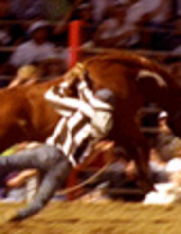 The Wildest Show In The South: The Angola Prison Rodeo