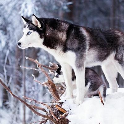 Timeline: Félév eseményei