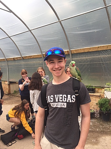 School Exchange - Adolescence (Emotional/Social)