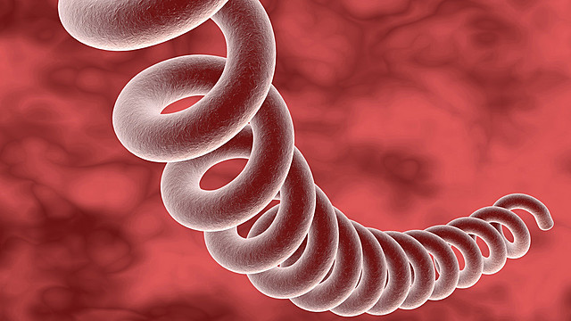 En este año fue posible controlar la sífilis