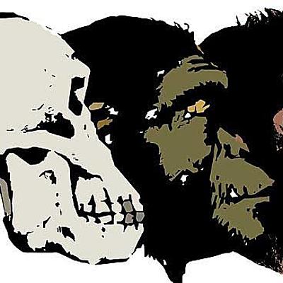 Timeline: AI1. Posturas de la evolución