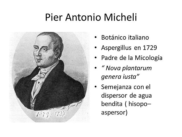 Investigacion y experimentacion-Pier Antonio Micheli