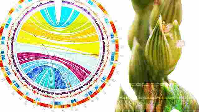 introducción de Productos Bioquimicos en la Agricultura