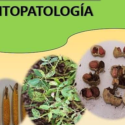Timeline: Historia de la Fitopatología