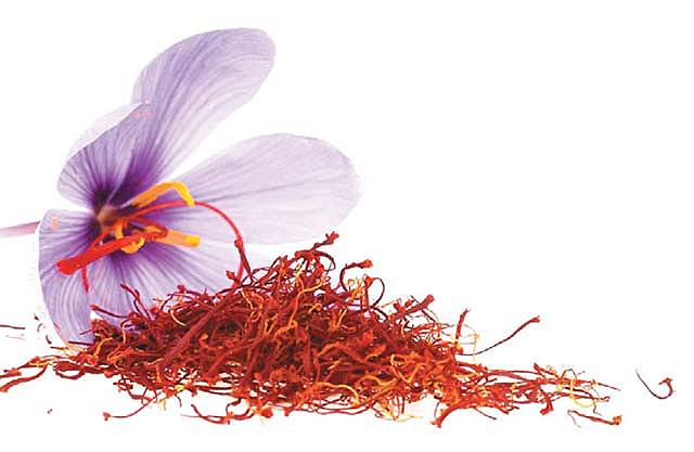 Infestación por la muerte del azafrán