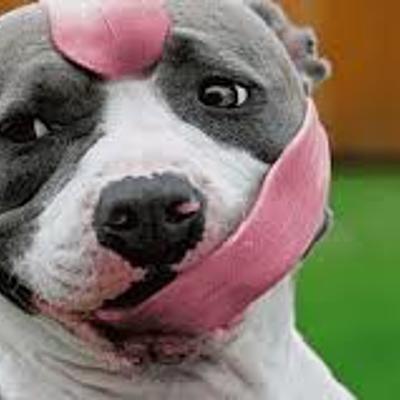 Timeline: LINEA DEL TIEMPO