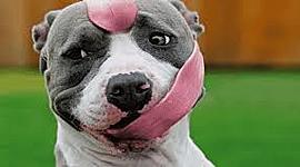 Timeline: LINEA DEL TIEMPO