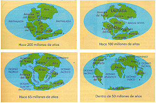 DISTRIBUCIÓN DE CONTINENTES Y OCÉANOS.