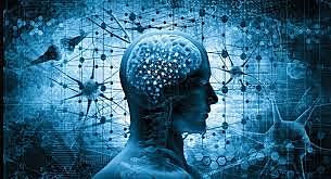 La inferencia inconsciente.