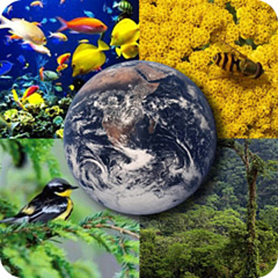 Timeline: Hitos de la Toxicología