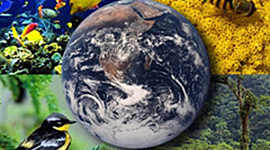 Timeline: Hitos de la Toxicología