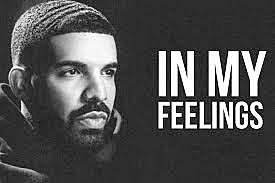 In my feelings song