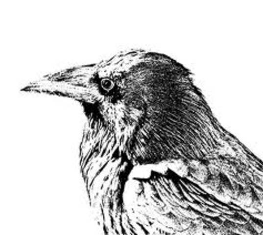 The Raven