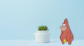 Timeline: History of Animation