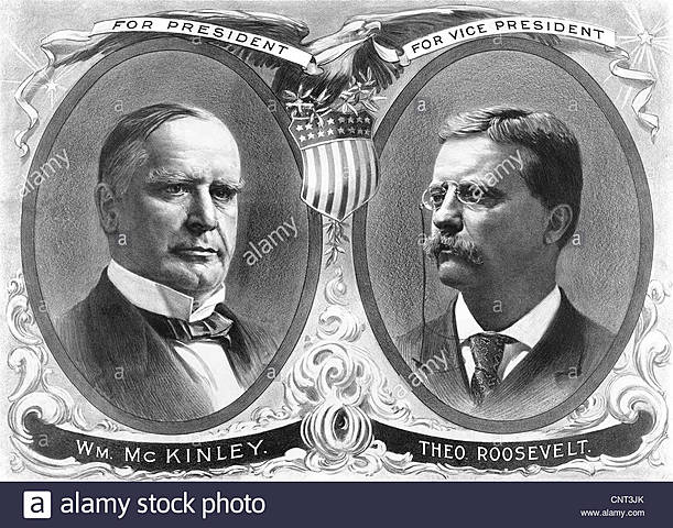 Election of William Mckinley