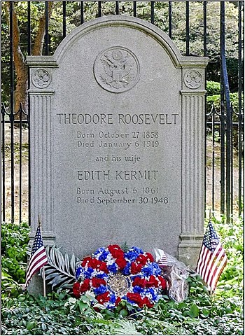 Teddy Roosevelt's death