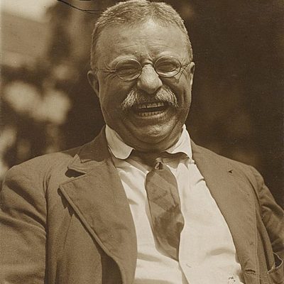 Timeline: Teddy Roosevelt Project